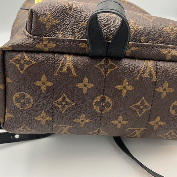 Louis Vuitton Plams Springs PM Backpack - Picture 7 of 16